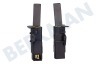 Husqvarna electrolux Waschmaschine Kohlebürste in Halter (R) 5x12,5 mm. Schunk