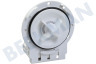 Electrolux Waschmaschine Pumpe Ablaufpumpe -Leili-