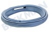 Ariston-Blue Air Waschmaschine 303520, C00303520 Manschette mit ovalem Auslauf