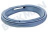 Blaupunkt Waschmaschine Manschette mit ovalem Auslauf