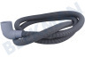 Indesit Waschmaschine 91775, C00091775 Schlauch Ablaufschlauch 2 m H / R