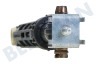 Indesit Waschmaschine 309597, C00309597 Stoßdämpfer 13 mm - 10 mm 100 Newton
