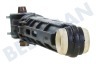 Indesit Waschmaschine 309597, C00309597 Stoßdämpfer 13 mm - 10 mm 100 Newton