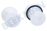 Indesit Waschmaschine 141034, C00141034 Filter Flusensieb komplett