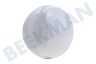 Indesit Waschmaschine 299584, C00299584 Knopf Timer-Taste Weiß