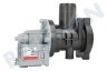 Ariston Waschmaschine Pumpe Komplett mit Pumpengehäuse, Askoll