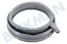 Siemens Waschmaschine 686004, 00686004 Manschette Komplett mit Spannringen