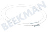 Constructa Waschmaschine Manschette mit Ausguss und zwei Spannringen