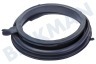 Bosch Waschmaschine 776047, 00776047 Manschette mit Ausguss und 2 Kompressionsringen