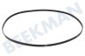 Lynx Waschmaschine Riemen 1252 J5 TEM