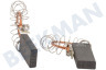 Lynx Waschmaschine 00154740 Kohlebürste Set, 12 x 5 mit Feder/Klammer