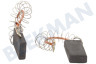Alternative Waschmaschine 00154740 Kohlebürste Set, 12 x 5 mit Feder/Klammer