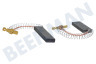 Constructa Waschmaschine 00605694 Kohlebürste Set, 12 x 5 mit Feder/Klammer