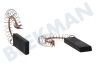 Schulthess Waschmaschine 616505, 00616505 Kohlebürste Set, 43 mm x 13 x 5 mm mit Feder und Klammer