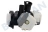 Bosch Waschmaschine Pumpe Doppelt, Ablauf und Zirkulation