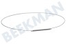 Beko Waschmaschine Spannring Spannring vorne