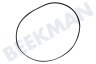 Arcelik Waschmaschine Riemen 5PJE 1244 TEM