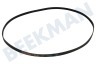 Arcelik Waschmaschine Riemen 5PJE 1244 TEM