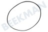 Indesit Waschmaschine Riemen geeignet für Beko 5PJE 1171 HF TEM