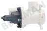 Alternative Waschmaschine Pumpe Abflaufpumpe, Magnet, Hanyu
