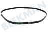 Gorenje Waschmaschine Keilrippenriemen Riemen 6EPJ 1278