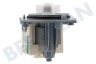 Vestel Waschmaschine Pumpe Ablaufpumpe Askoll