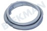 Indesit Waschmaschine Manschette Mit ovalem Ausguss