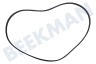 Indesit Waschmaschine 119126, C00119126 Riemen 6PJE 1201