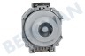 Hotpoint-ariston Waschmaschine 302796, C00302796 Pumpe Ablauf ohne Pumpengehäuse