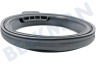 Whirlpool Waschmaschine Manschette Manschette mit ovalem Ausguss