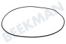 Proline Waschmaschine Dichtungsgummi Von Bottich