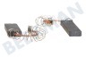 Bauknecht Waschmaschine Kohlebürste Set 12x5 Feder/Klemme