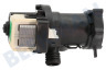 Polar Waschmaschine Pumpe Ablaufpumpe -Plaset-