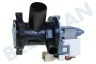 Whirlpool Waschmaschine Pumpe Ablauf, Hanyu
