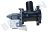 Whirlpool Waschmaschine Pumpe Ablauf, Hanyu