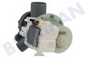 Hotpoint Waschmaschine Pumpe Ablaufpumpe