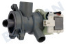 Hotpoint Waschmaschine Pumpe Ablaufpumpe