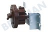 Samsung Waschmaschine DC97-00731A Wasserstandsregler Druckschalter