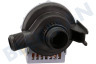 Castor Waschmaschine Pumpe Askoll Fin=25 Fuit=16