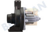 Castor Waschmaschine Pumpe Askoll Fin=25 Fuit=16