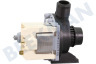 Castor Waschmaschine Pumpe Askoll Fin=25 Fuit=16