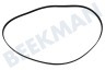 Unknown Waschmaschine Keilrippenriemen 1200 PJ5