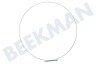 LG Waschmaschine Spannring von Manschette, vorne
