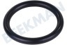 Zanussi Trockner O-Ring Wassertank