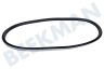 Electrolux Trockner Filzband Mit Gummi vorne