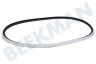 Electrolux Trockner Filzband Mit Gummi vorne