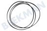 Universell Trockner 1258288222 Poly-V-Riemen 1975H7