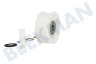 AEG Trockner Spannrolle Breit -mit 2 Lager-