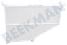 Fors Trockner Filter Flusensieb