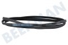 LG Trockner 300793, C00300793 Keilrippenriemen 6PHE 1991 H6